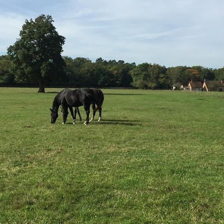 Haras Du Vignault Le Bucher Salbris Εξωτερικό φωτογραφία